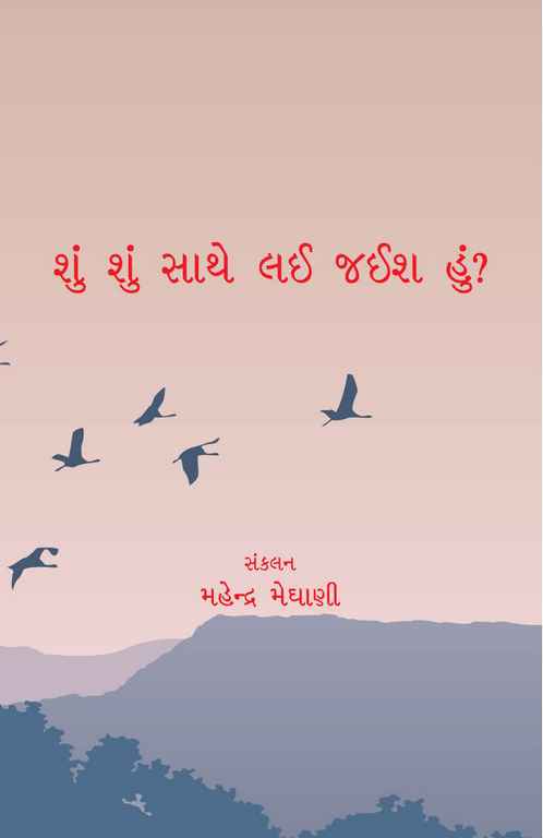 શું શું સાથે લઈ જઈશ હું?